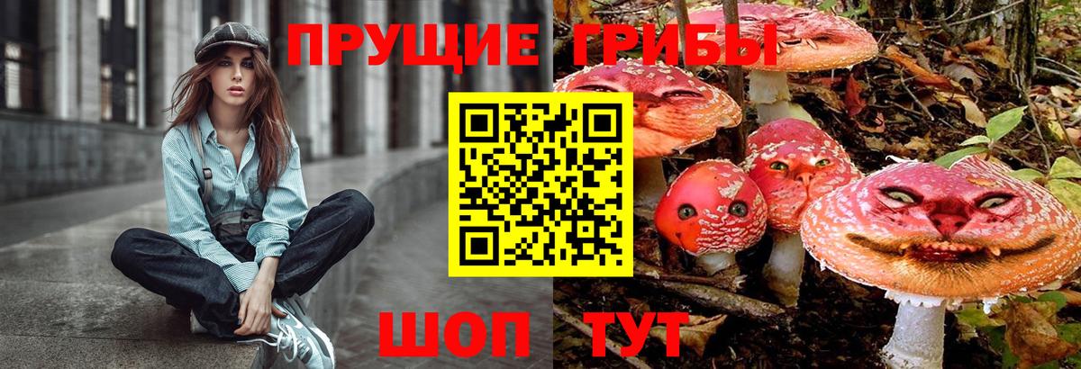 Улан-Удэ  Псилоцибиновые грибы мухоморы  Вход с VPN 